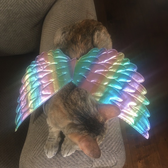 ❤️🧡💛💚💙💜 - Picture 2 of 2